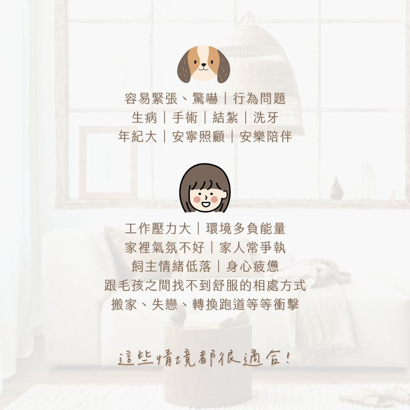 寵物能量療癒適用對象:改善寵物壓力、焦慮、行為問題,協助術後恢復與年長寵物照護。