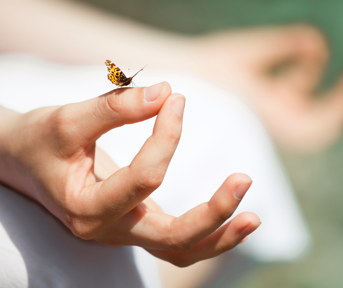 在大自然中持冥想的手印 上面停靠著一隻蝴蝶